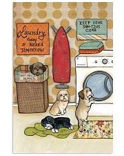 LAUNDRY SHIHTZU POSTER 11x17 Poster front