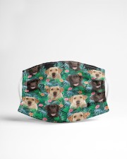 Labrador Retriever Cloth face mask aos-face-mask-lifestyle-22