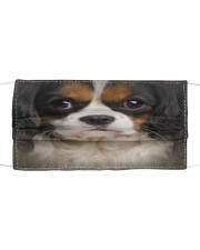 Cavalier King Charles Spaniel Cloth face mask front