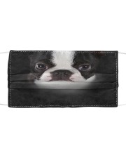 Boston Cloth face mask front