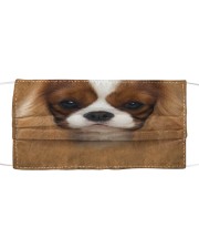 Cavalier King Charles Spaniel Cloth face mask front