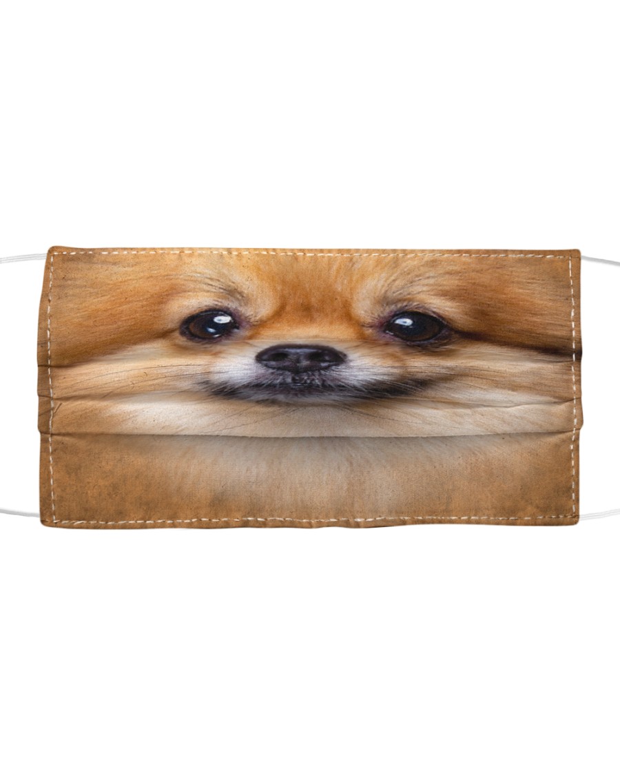 Pomeranian Cloth face mask