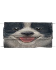 Border Collie Cloth face mask front