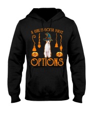 Basenji -CS3204-Have Options Hooded Sweatshirt tile