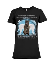 Bull Mastiff-CS3351-I Get To Heaven Premium Fit Ladies Tee tile
