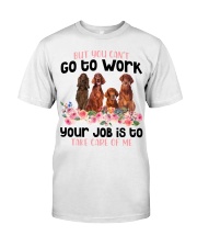 Irish Setter-CS882-Take Care Of Me Classic T-Shirt front