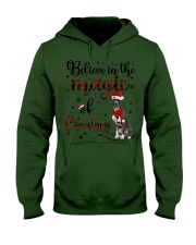 Pitbull-CS3884-In The Magic-V2 Hooded Sweatshirt tile
