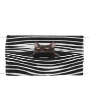 Bombay Cat Stripes FM Cloth face mask front