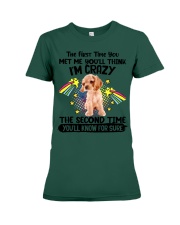 Cocker Spaniel-CS3081-The Second Time Premium Fit Ladies Tee tile
