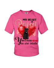 Schnauzer-CS4148-Perfect-V2 Youth T-Shirt tile
