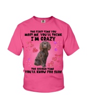 Boykin Spaniel-DN2158-You Meet Me Youth T-Shirt tile