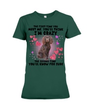 Boykin Spaniel-DN2158-You Meet Me Premium Fit Ladies Tee tile