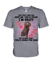 Boykin Spaniel-DN2158-You Meet Me V-Neck T-Shirt tile