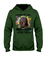 Bearded Collie-CS3242-Not Hit You Hooded Sweatshirt tile
