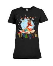 Rough Collie-CS4082-Believe-V2 Premium Fit Ladies Tee tile