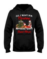 Basset Hound-CS3943-Christmas-V9 Hooded Sweatshirt tile