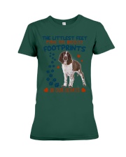 English Springer Spaniel-CS3050-The Littlest Premium Fit Ladies Tee tile