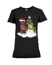 Lagotto Romagnolo-CS3841-Christmas Dog-V11 Premium Fit Ladies Tee tile