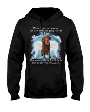 Chesapeake Bay Retriever-CS3351-I Get To Heaven Hooded Sweatshirt tile