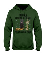 Flat Coated-CS2471-Talking To Jesus Hooded Sweatshirt tile
