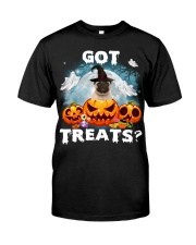 Pug 2-CS3383-Got Treats Classic T-Shirt front