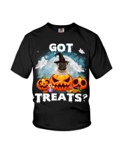 Pug 2-CS3383-Got Treats Youth T-Shirt tile