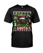 Beauceron-DN2343-Believe In Santa Premium Fit Mens Tee tile