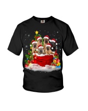 Shar Pei-Christmas-V12 Youth T-Shirt tile