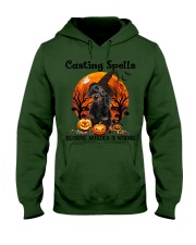 Dachshund-CS3431-Casting Spells Hooded Sweatshirt tile