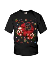 Dachshund-CS3732-Christmas Letter Youth T-Shirt tile