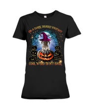 German Shorthaired Pointer-CS2692-On A Dark Desert Premium Fit Ladies Tee tile