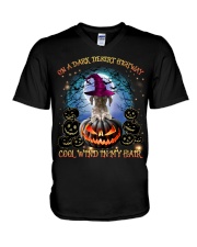 German Shorthaired Pointer-CS2692-On A Dark Desert V-Neck T-Shirt tile