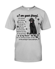 Curly Coated Retriever-CS3644-I Am Your Friend Classic T-Shirt front