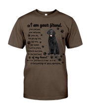 Curly Coated Retriever-CS3644-I Am Your Friend Premium Fit Mens Tee tile