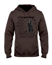 Curly Coated Retriever-CS3644-I Am Your Friend Hooded Sweatshirt tile