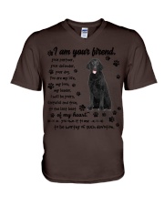 Curly Coated Retriever-CS3644-I Am Your Friend V-Neck T-Shirt tile