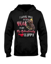 Boykin Spaniel-CS3532-You Make Me Hooded Sweatshirt tile