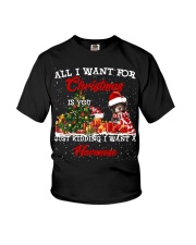Havanese-CS3943-Christmas-V9 Youth T-Shirt tile