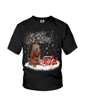 Shar Pei-CS3916-Christmas Dog-V13 Youth T-Shirt tile