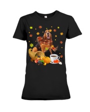 Bloodhound-DN2007-Autumn Dog-V4 Premium Fit Ladies Tee tile