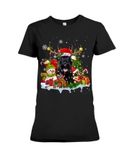 Scottish Terrier-CS3986-Christmas Dog-V14 Premium Fit Ladies Tee tile
