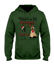 Afghan Hound-CS3564-Believe In Hooded Sweatshirt tile