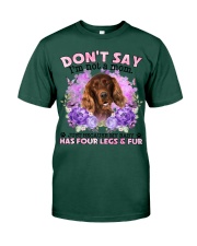 Irish Setter-02-CS4086-Don't Say-V2 Premium Fit Mens Tee tile