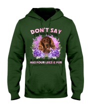 Irish Setter-02-CS4086-Don't Say-V2 Hooded Sweatshirt tile