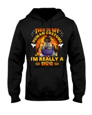 German Shorthaired Pointer2-CS3531-Human Costume Hooded Sweatshirt tile