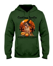 Dachshund 1-CS3431-Casting Spells Hooded Sweatshirt tile