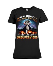 Great Dane-DN1946-In My Defense Premium Fit Ladies Tee tile