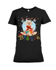 Morkie-CS4082-Believe-V2 Premium Fit Ladies Tee tile