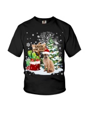 Greyhound-CS4026-Santa Stop Here-V2 Youth T-Shirt tile