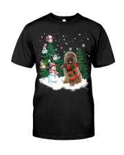 Briard-CS4017-Christmas Dog-V15 Classic T-Shirt front